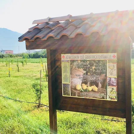 Beatrice Bed & Breakfast Pompei