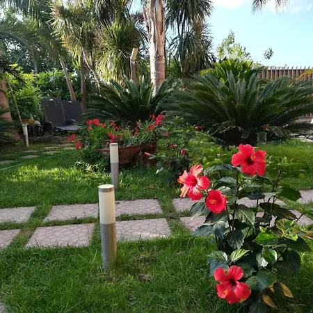 Beatrice Bed & Breakfast